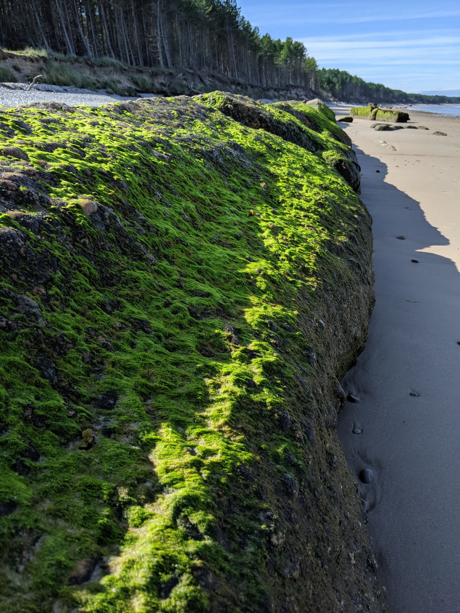 Google Pixel 3 sample photo. Scotland, beach, rocks photography