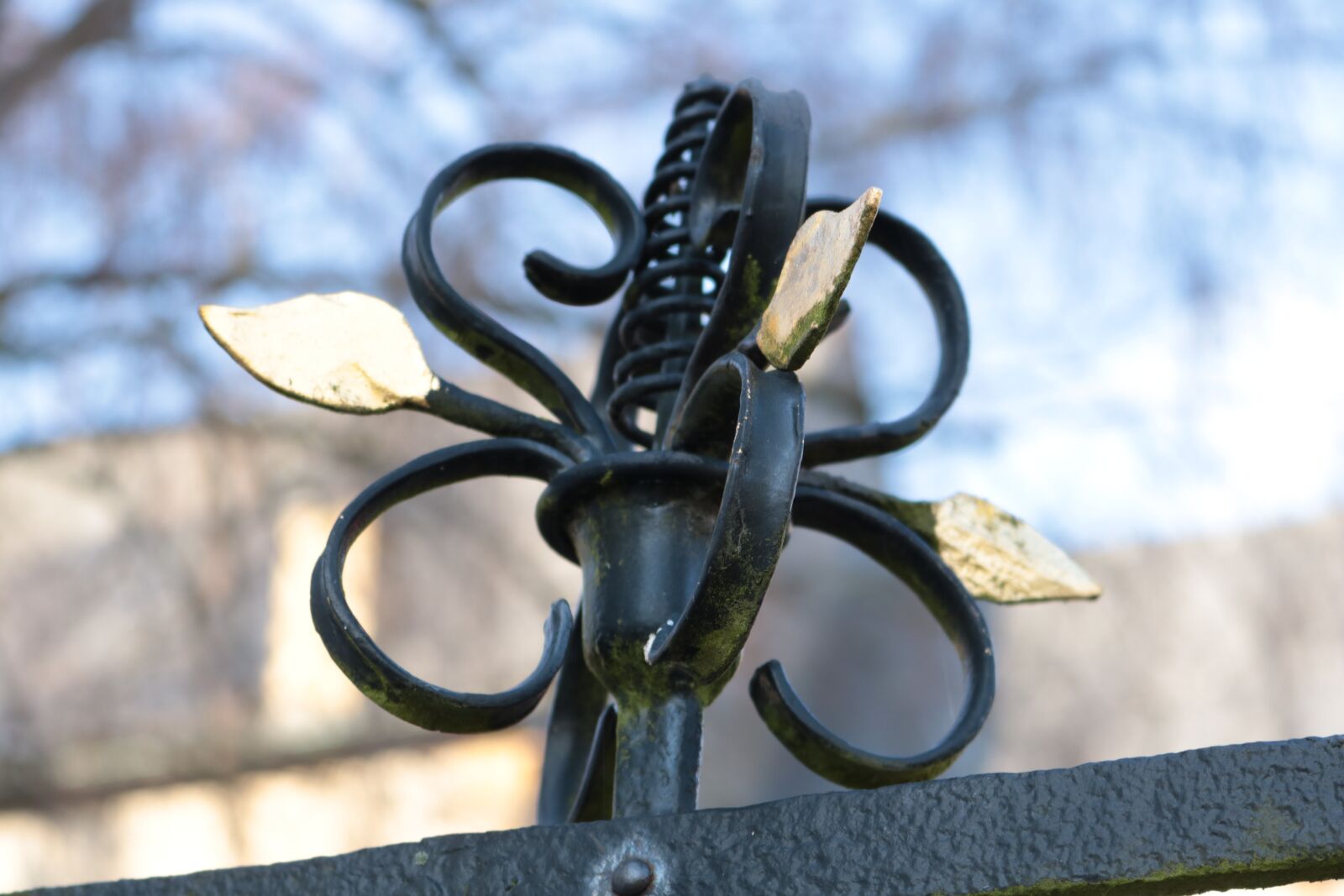 Canon EOS 750D (EOS Rebel T6i / EOS Kiss X8i) sample photo. Wrought iron, rosette, fence photography