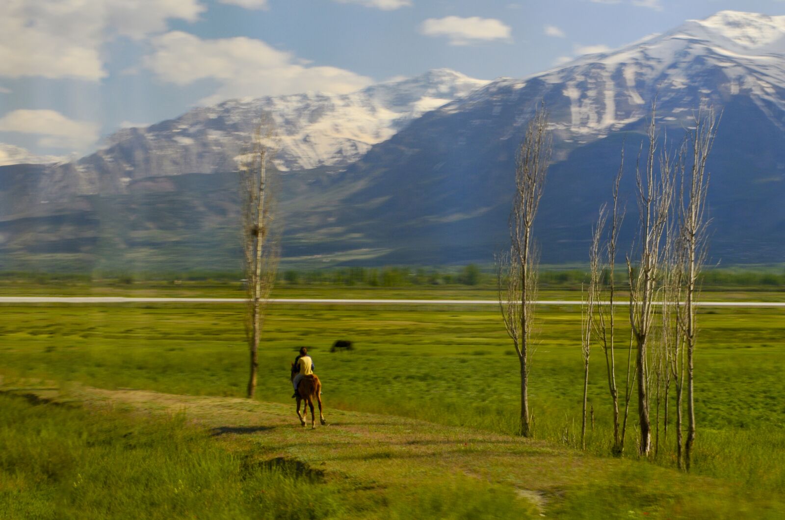 Nikon D5100 sample photo. Wild, horse, landscape photography