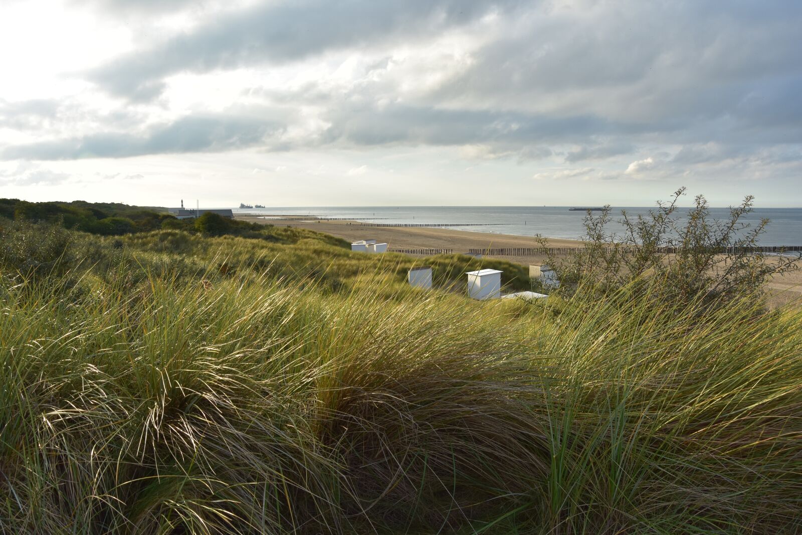 Nikon D3400 sample photo. Dune grass, north sea photography