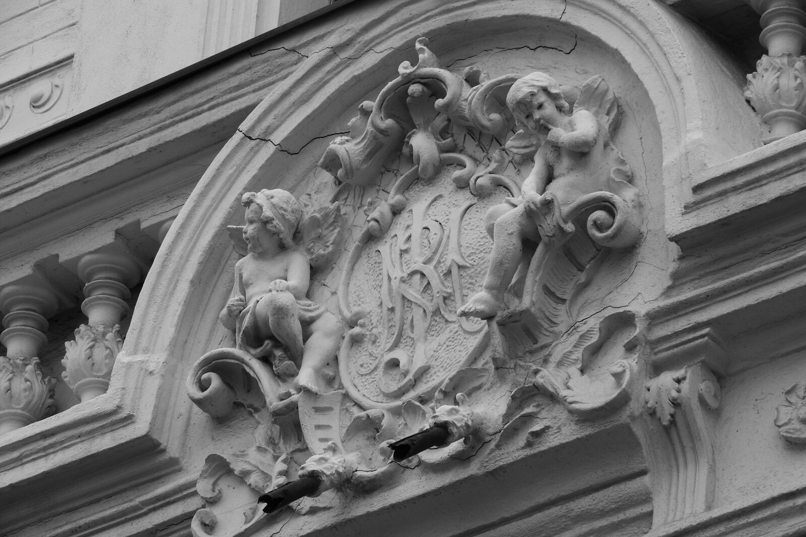 Nikon Coolpix P610 sample photo. Coat of arms, sign photography