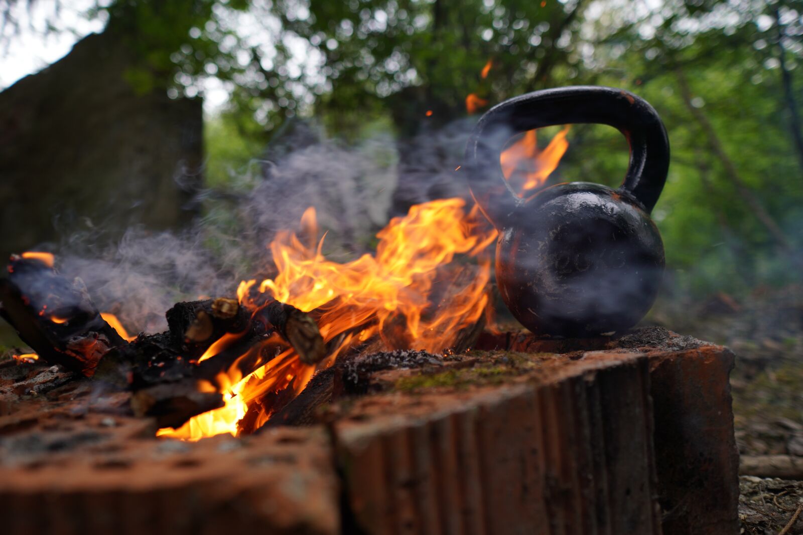 Sony a6400 + Sigma 16mm F1.4 DC DN | C sample photo. Carnivore, kettlebell, trening photography