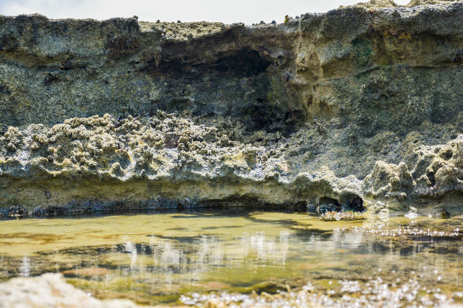 Nikon D7100 sample photo. Coral reef, beach, rock photography