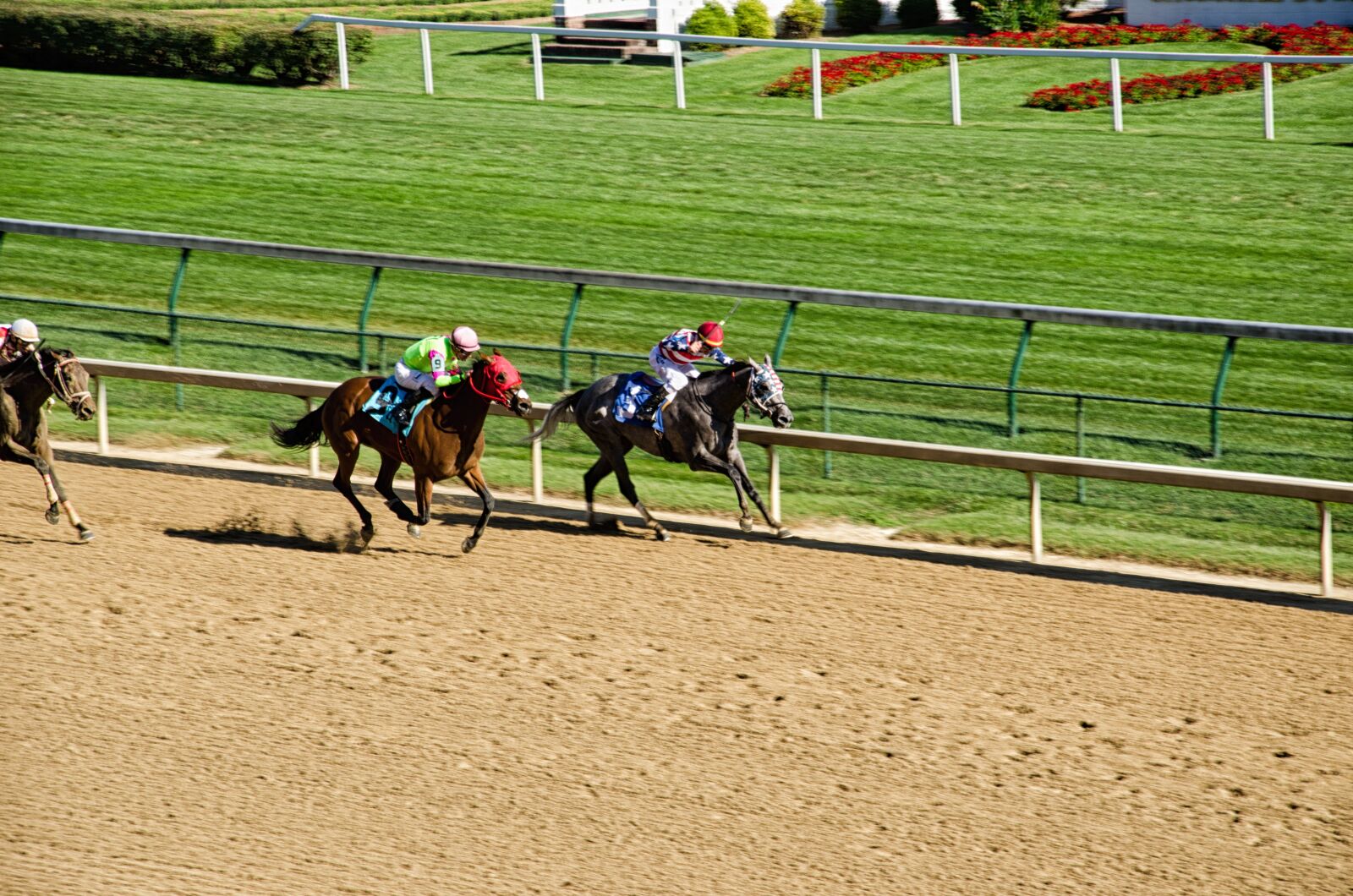 Nikon D5100 sample photo. Kentucky, louisville, horse racing photography
