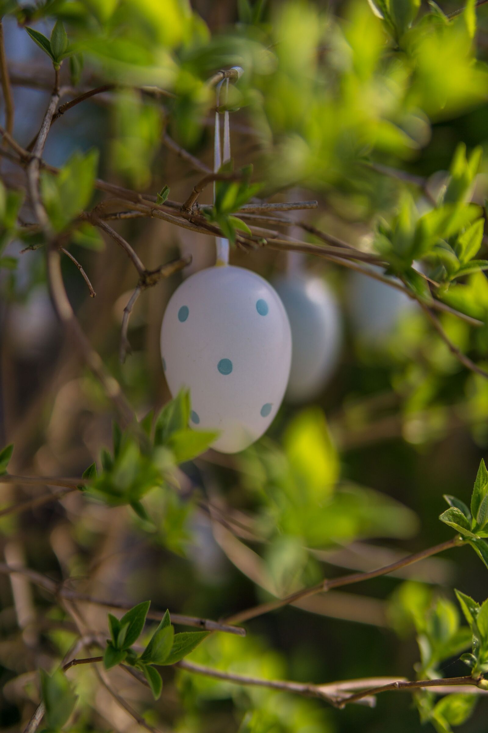 30mm F1.4 DC DN | Contemporary 016 sample photo. Bush, green, easter egg photography