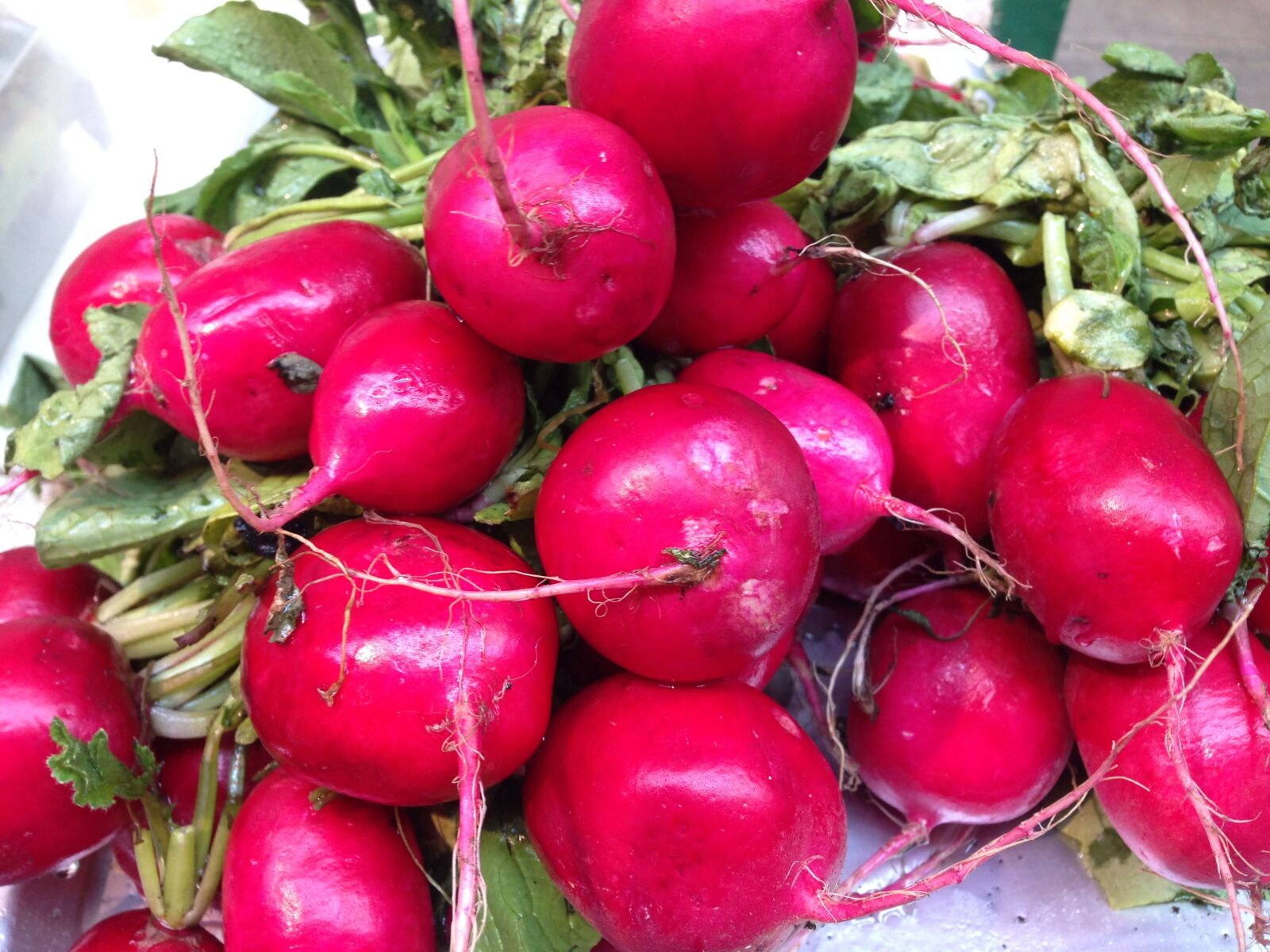 iPhone 5 back camera 4.12mm f/2.4 sample photo. Radishes, food, nutrition photography