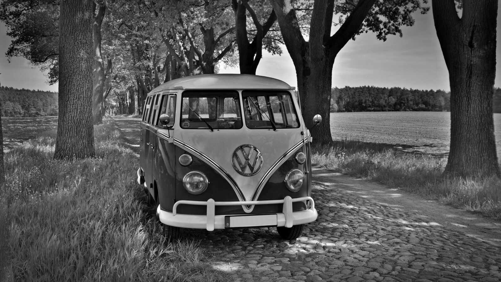 Nikon D5200 sample photo. Vw t1, vw bus photography