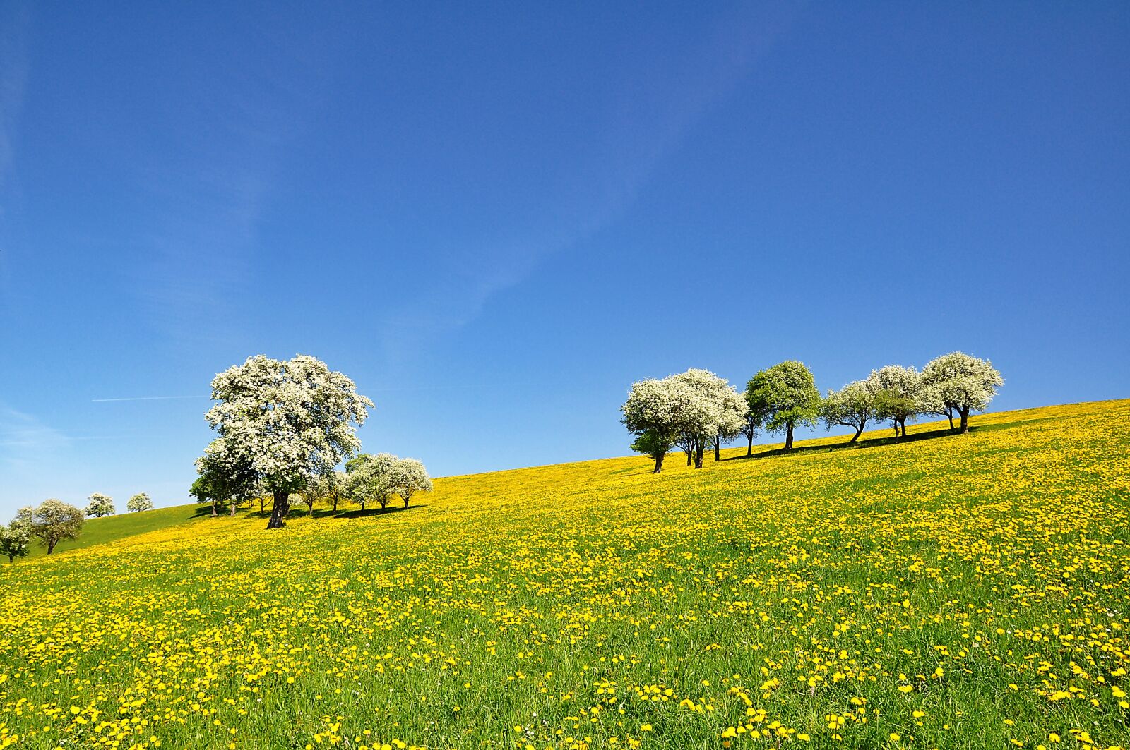 Nikon D90 sample photo. Nature, landscape, spring photography