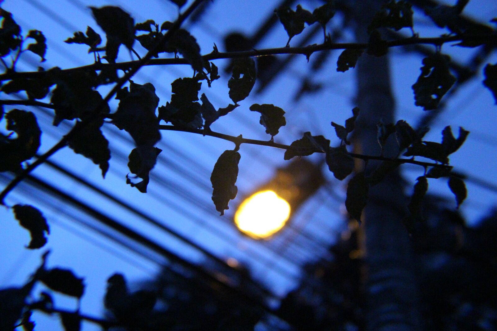 Canon EOS 700D (EOS Rebel T5i / EOS Kiss X7i) sample photo. Night, dark, lights photography