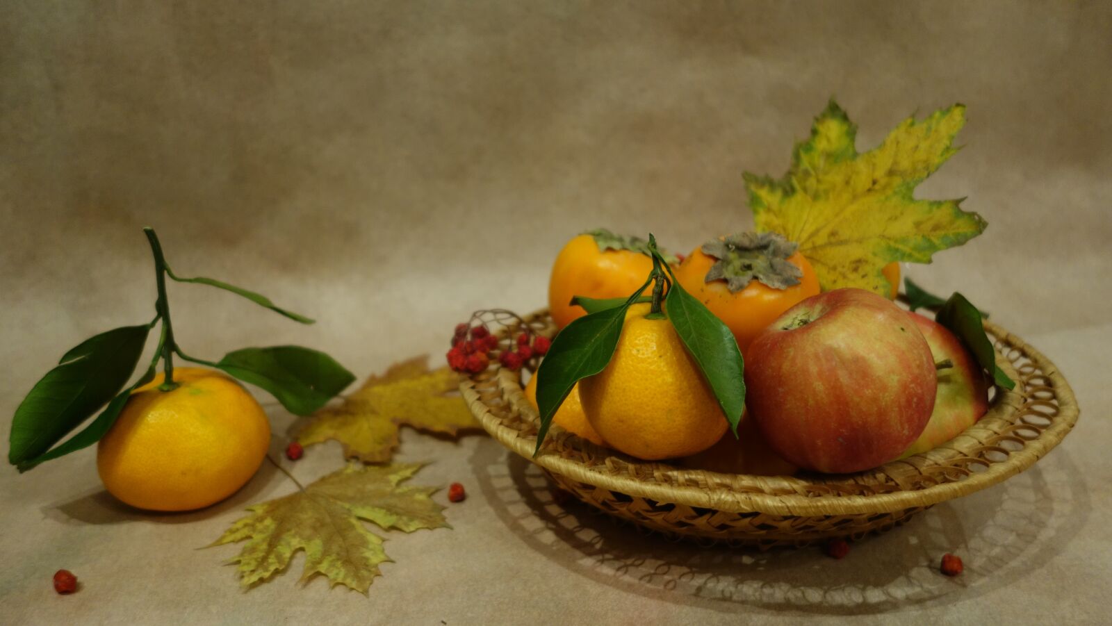 Sony Cyber-shot DSC-RX100 II sample photo. Autumn, still life, fruit photography