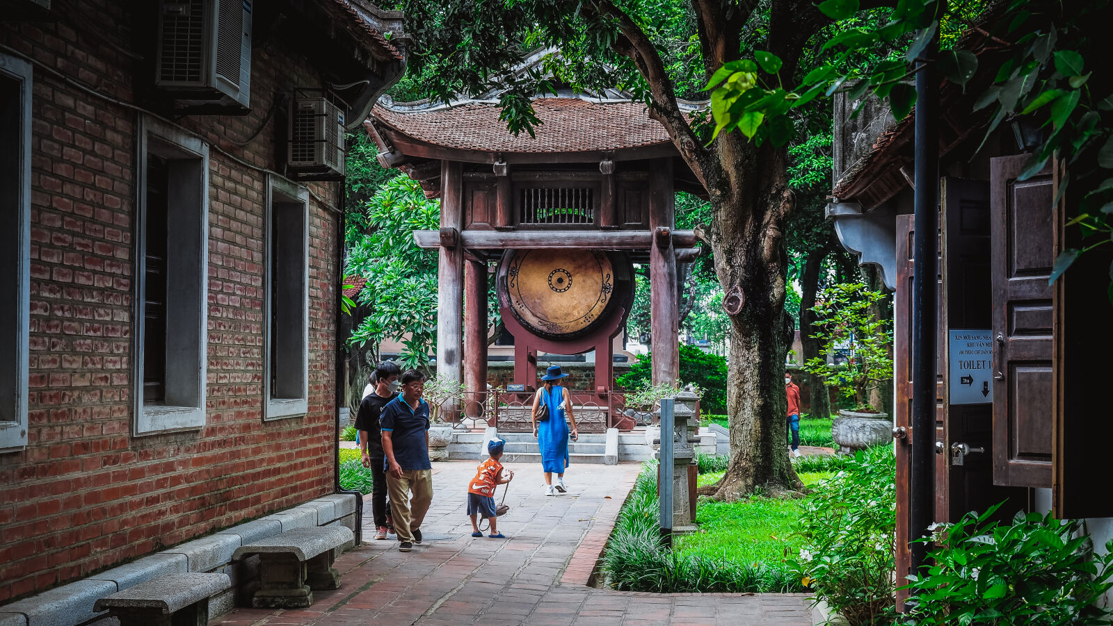 Olympus OM-D E-M1 Mark II sample photo