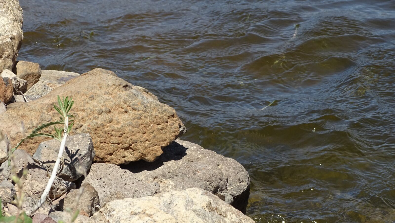 Sony Cyber-shot DSC-HX400V sample photo. Lake, arizona, landscape photography