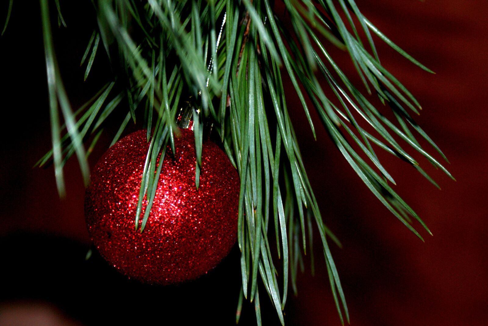 Sony Alpha DSLR-A300 sample photo. New year's eve, christmas photography
