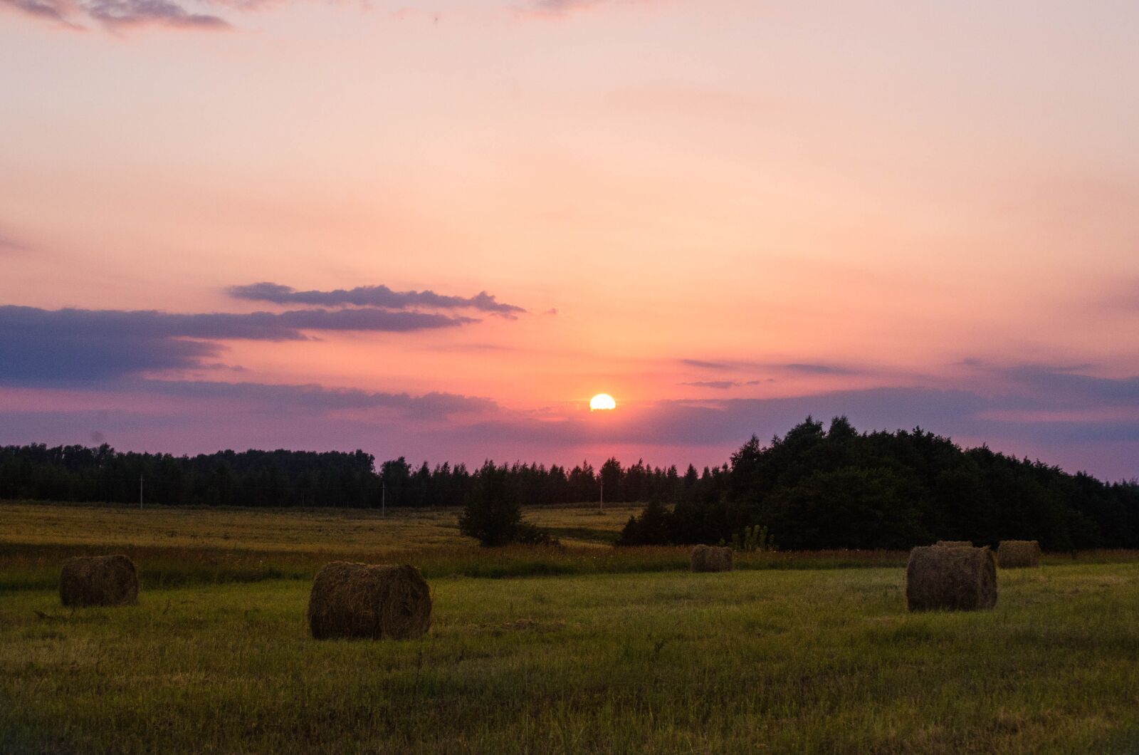 Nikon D7000 sample photo. August, stack, summer photography