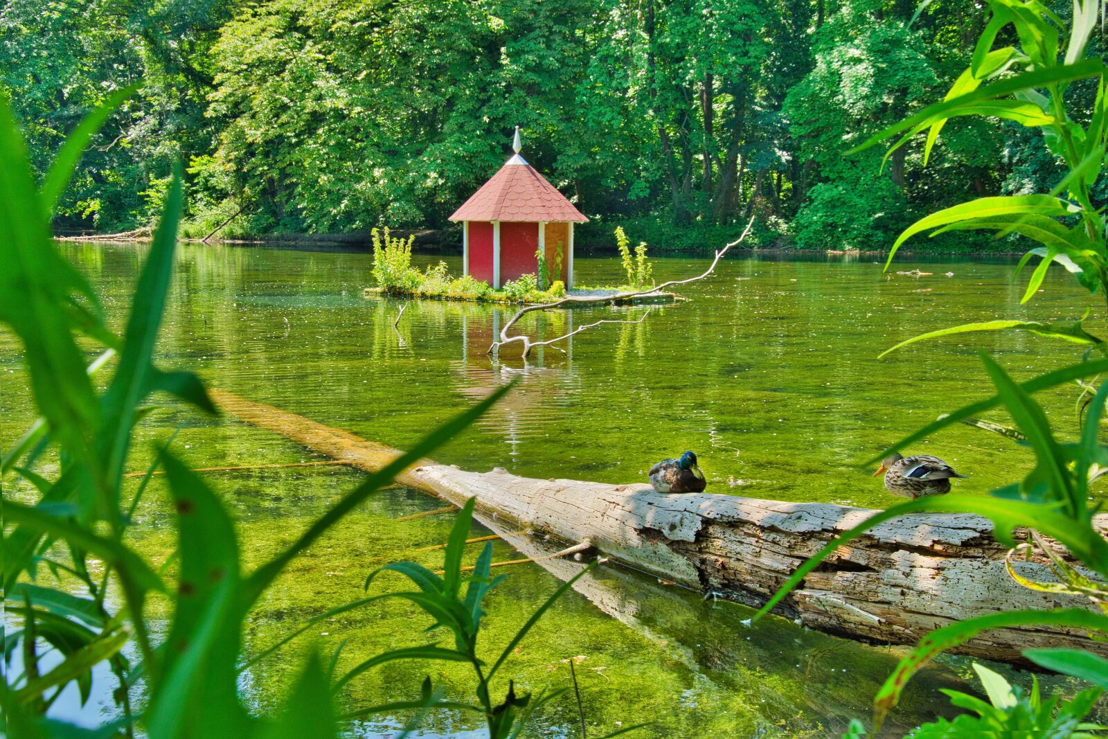 Nikon D5300 sample photo. Water, nature, scenic photography