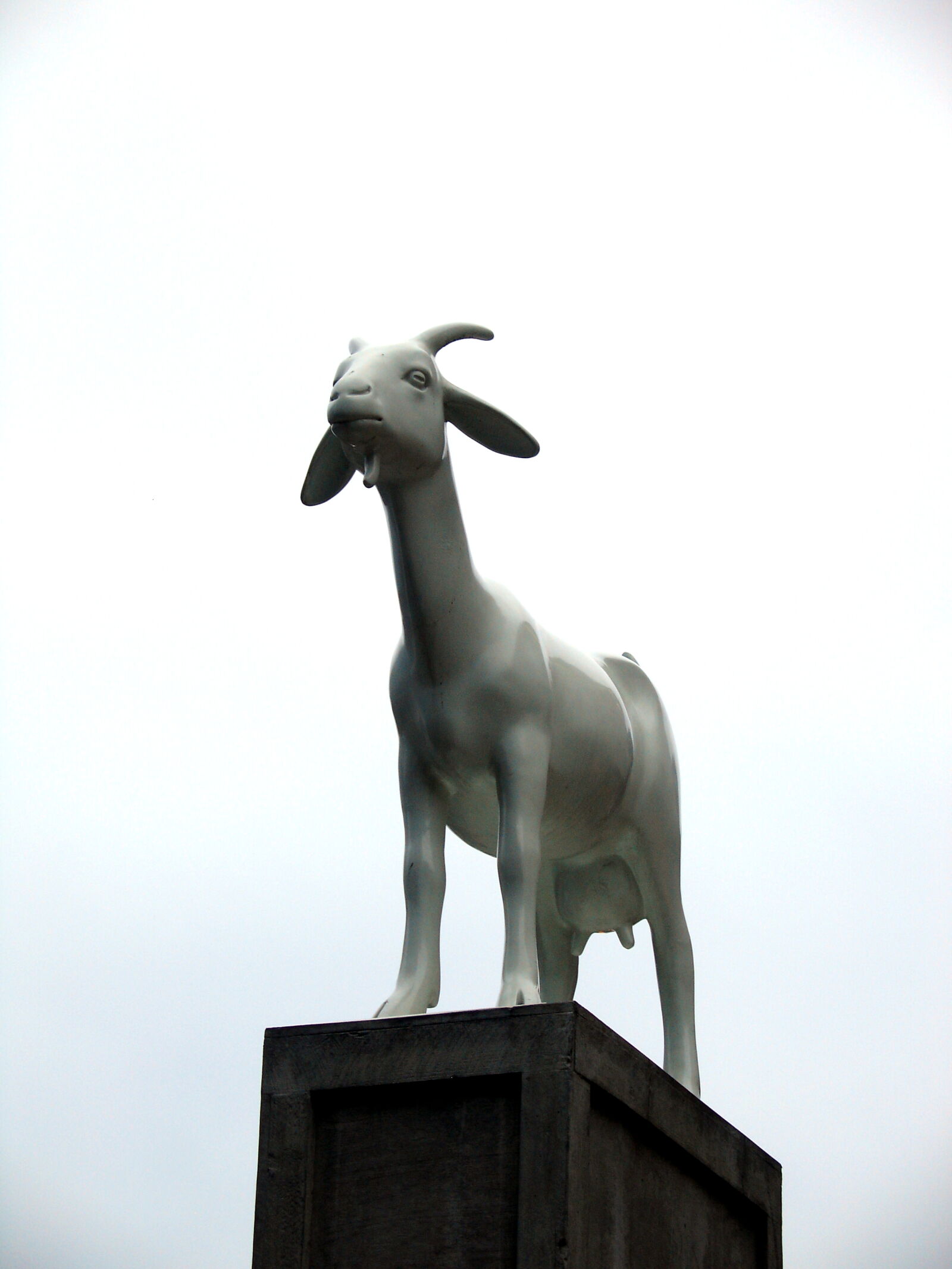 Sony DSC-V3 sample photo. Animal, goat, landmark, monument photography
