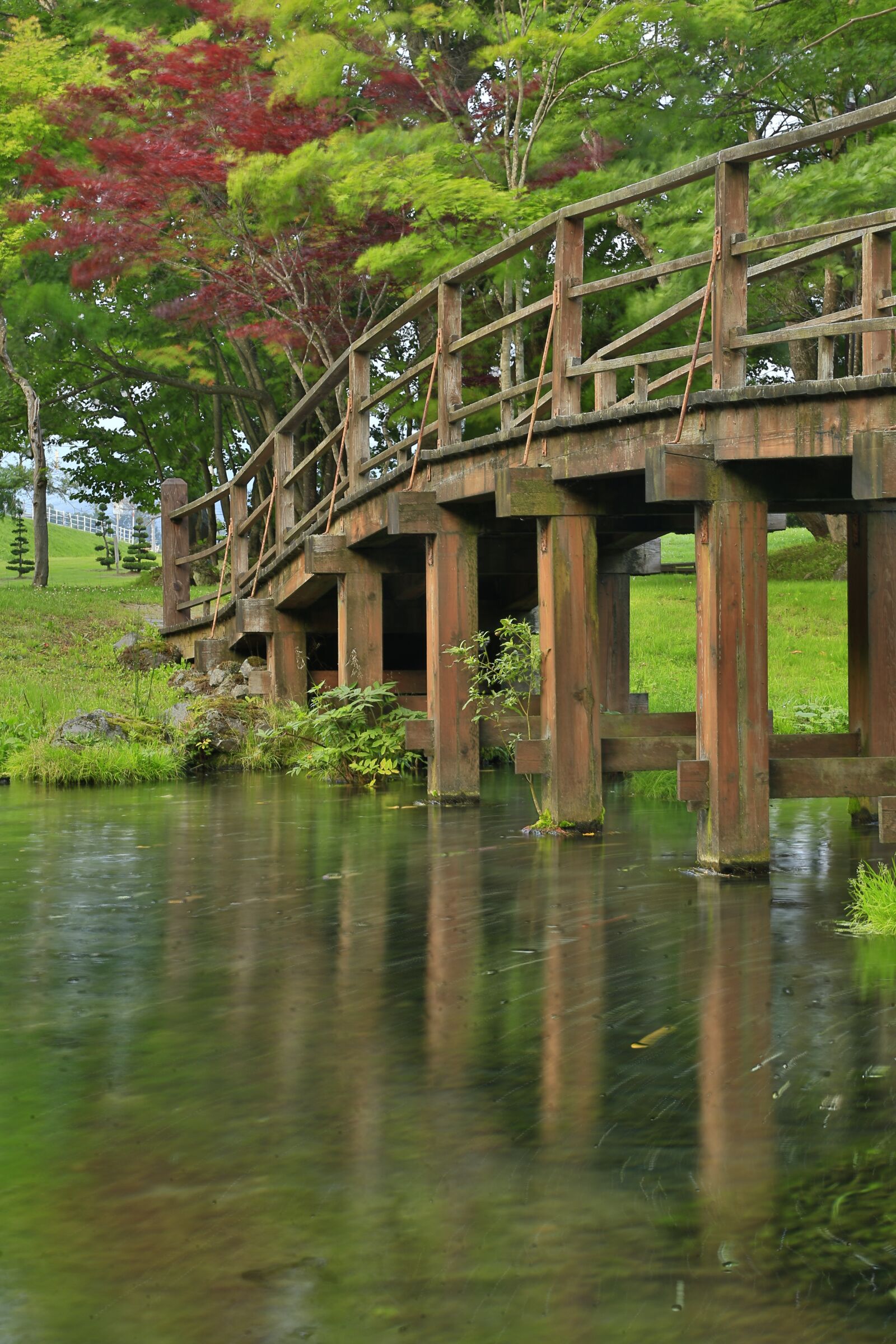 Canon EF 24-105mm F4L IS USM sample photo. Japan, bridge, parkland photography
