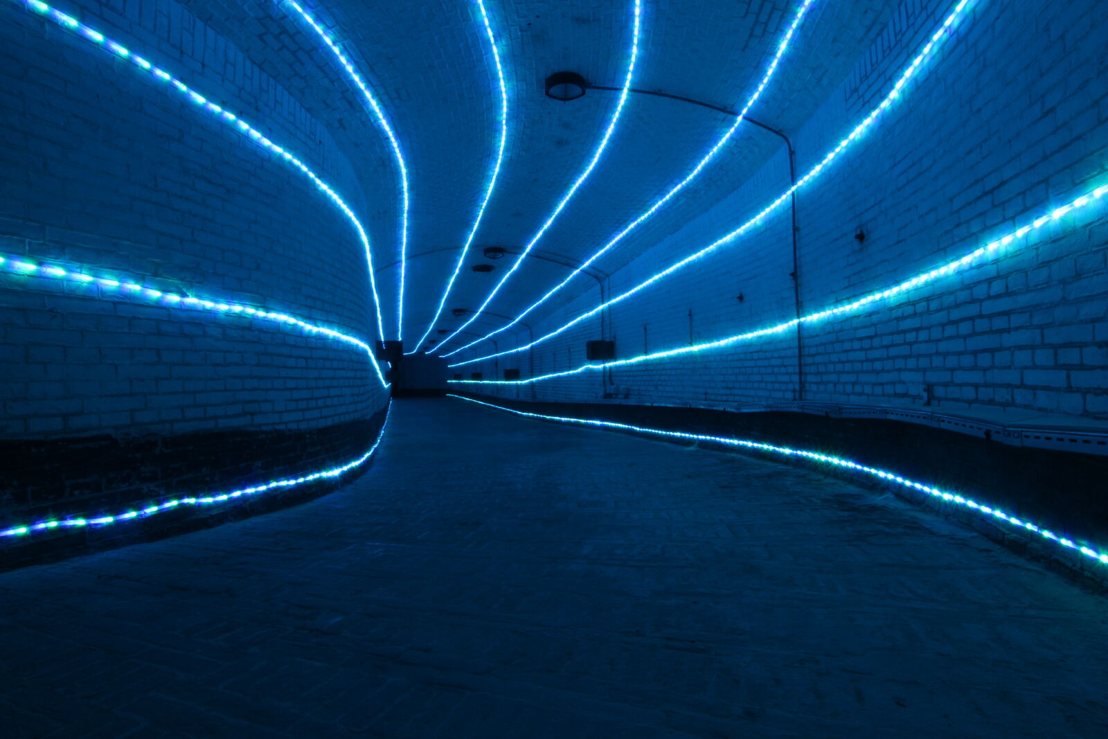 Canon EOS 100D (EOS Rebel SL1 / EOS Kiss X7) sample photo. Led, light, long, exposure photography
