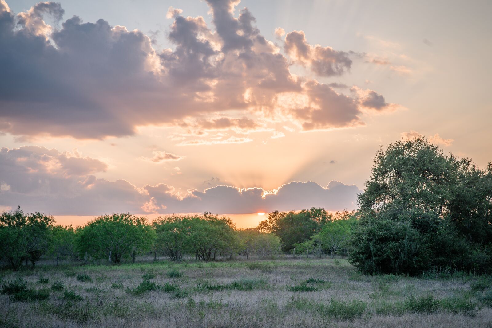 Nikon D750 sample photo. Sky, sunset, sunrise photography