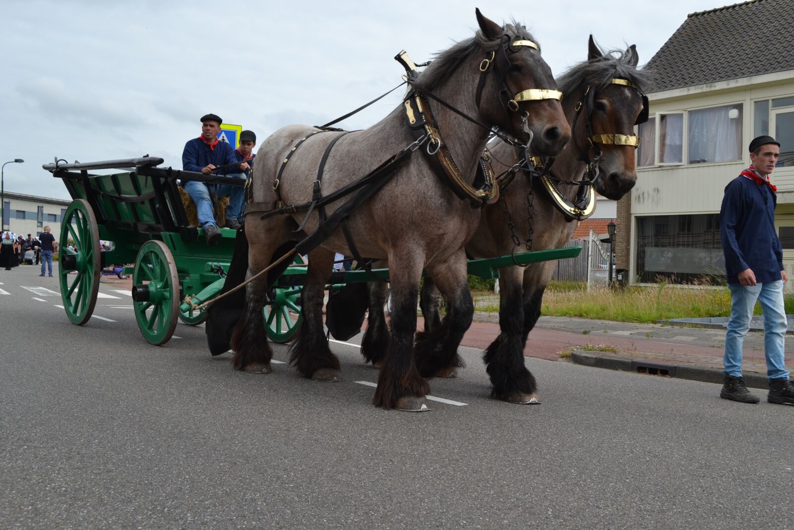 Nikon D3100 sample photo. Tholen, zeeland horses, historical photography