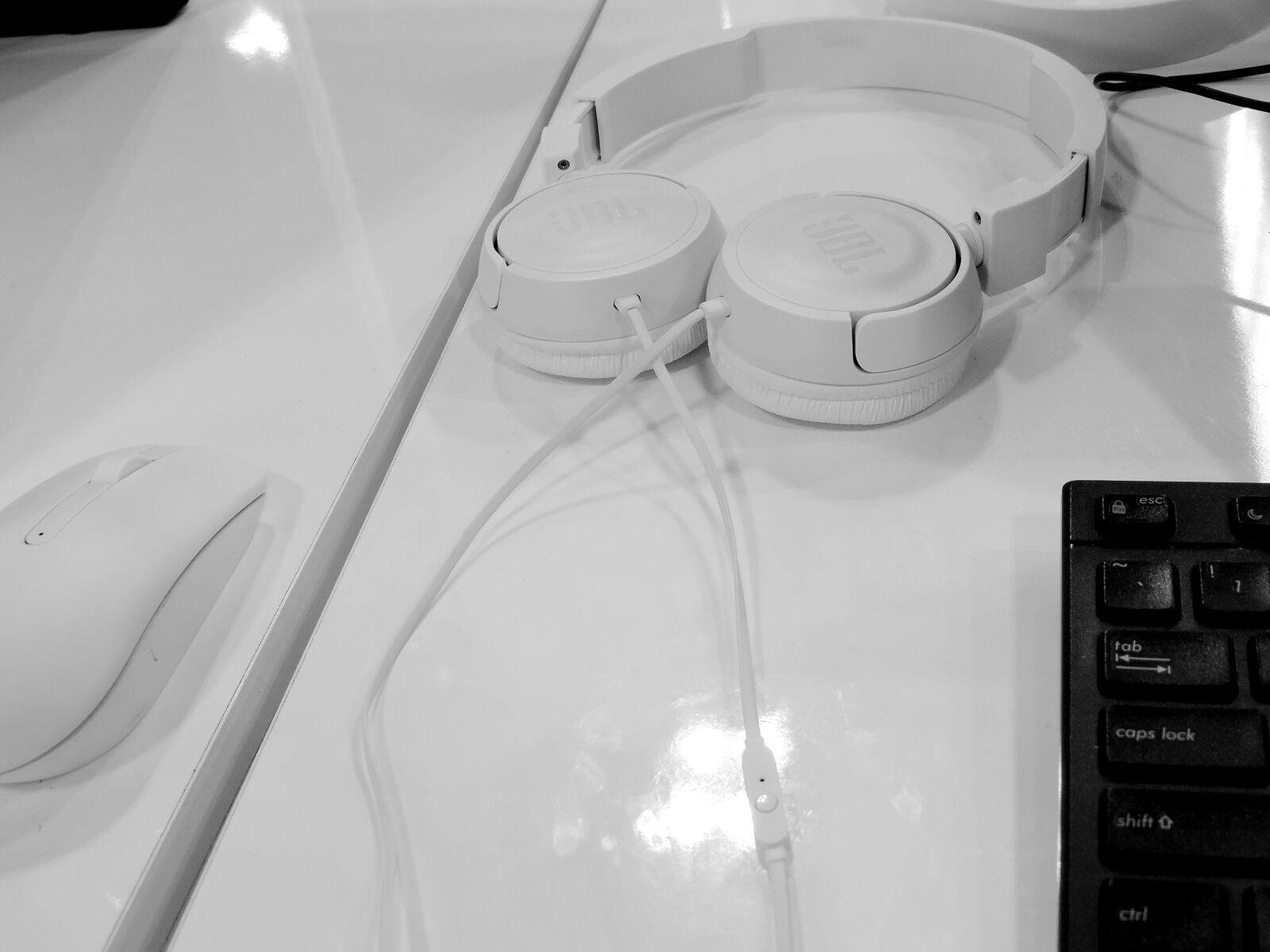 Nikon Coolpix P520 sample photo. Black and white, computer photography