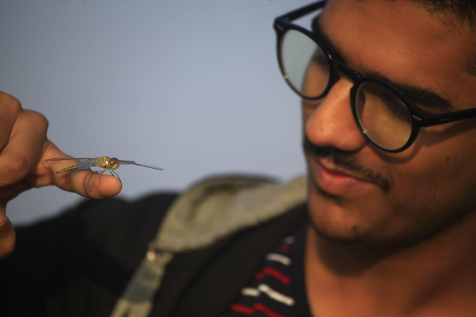 Canon EOS 5D Mark II sample photo. Dragonfly, insects, fauna photography