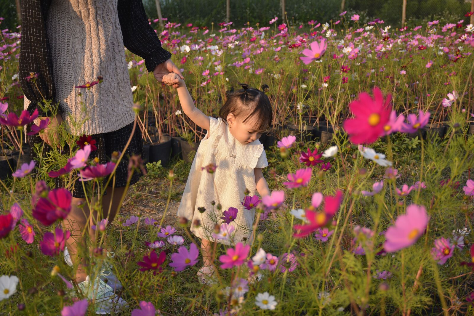 Nikon D7100 sample photo. Cute moment, credit by photography
