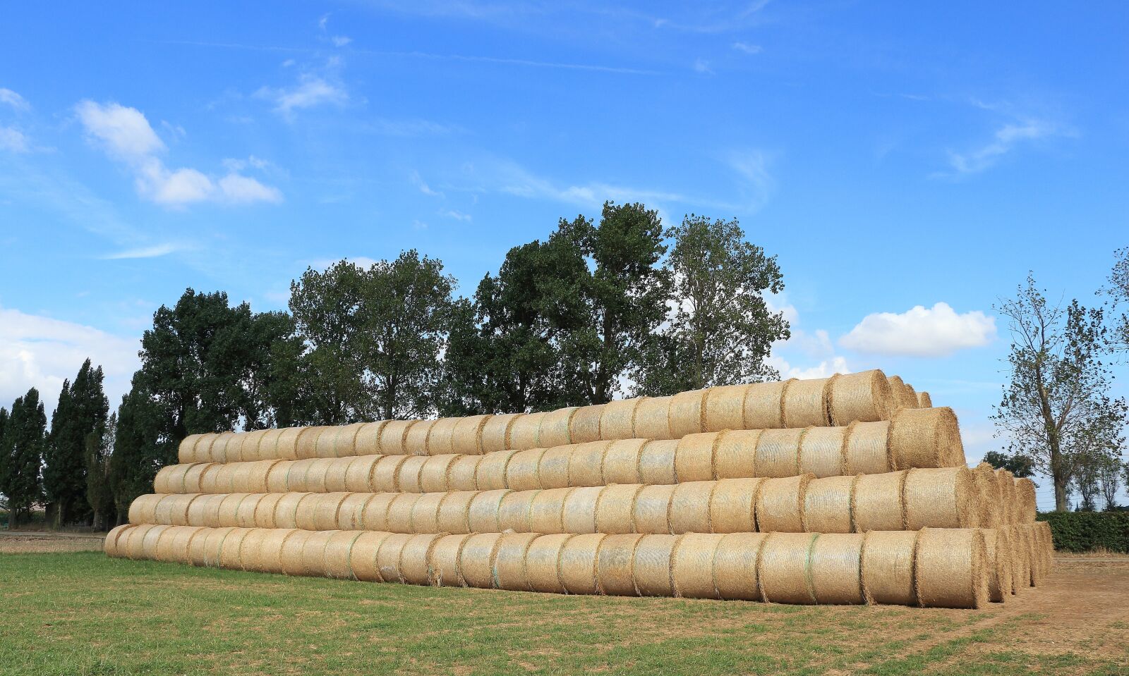 Canon EOS 700D (EOS Rebel T5i / EOS Kiss X7i) sample photo. Straw, straw bales, field photography