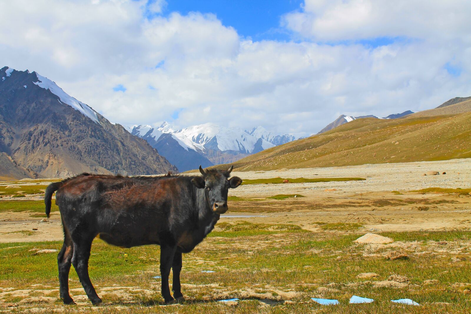 Canon EOS 1100D (EOS Rebel T3 / EOS Kiss X50) sample photo. Pakistan, pass, china photography