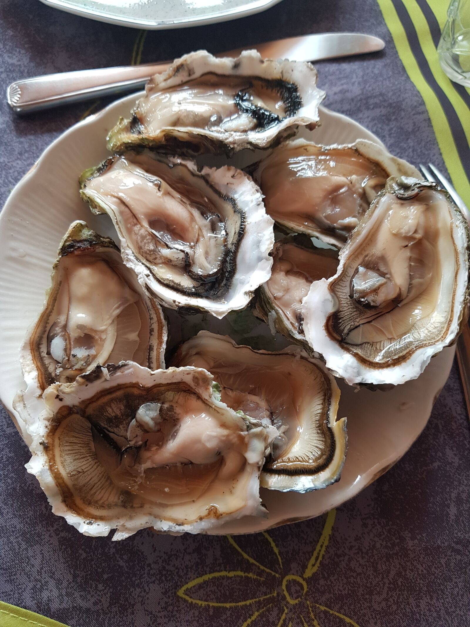Samsung Galaxy S7 sample photo. Oysters, seafood, plate photography