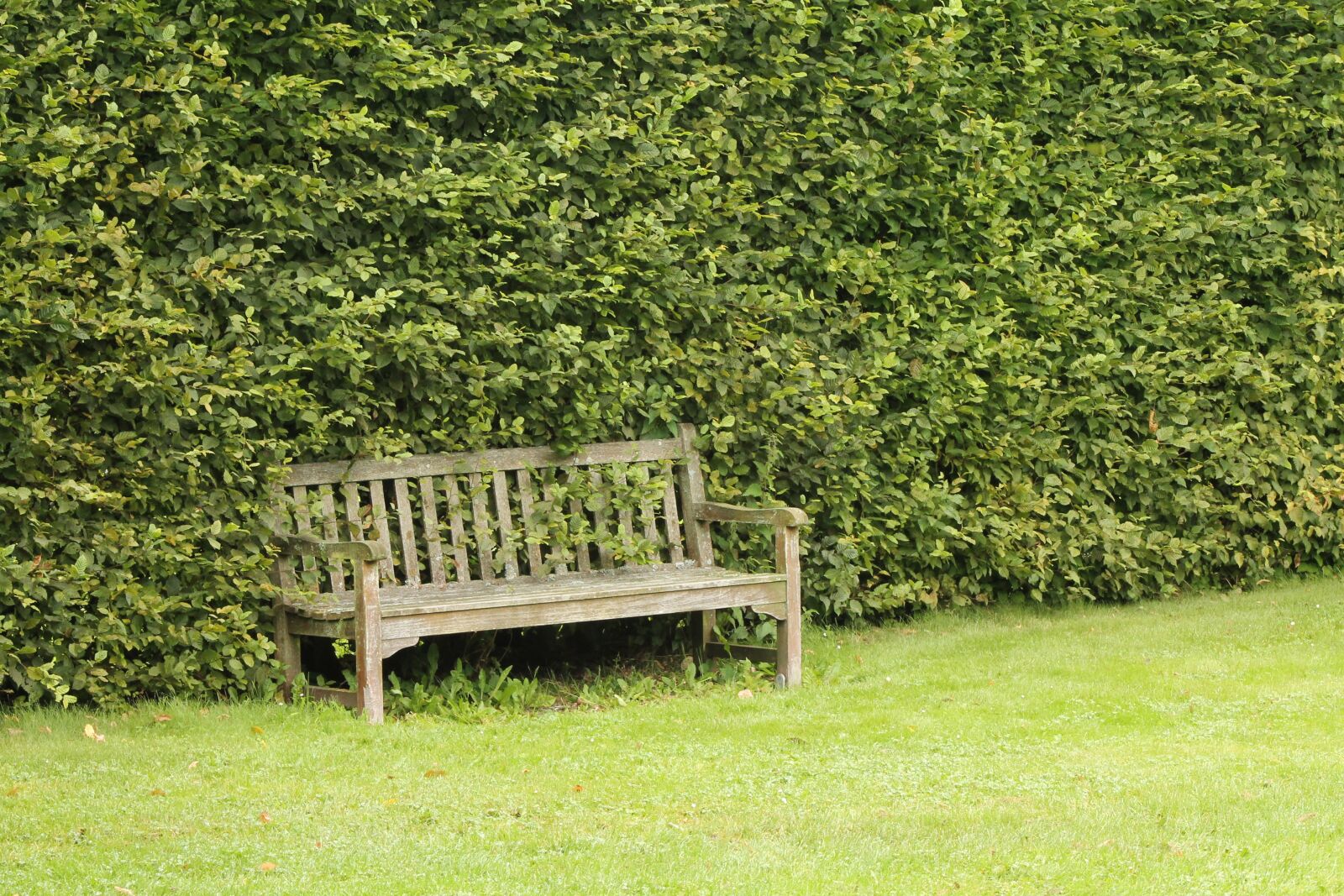 Canon EF 75-300mm f/4-5.6 sample photo. Bench, nature, outdoor photography
