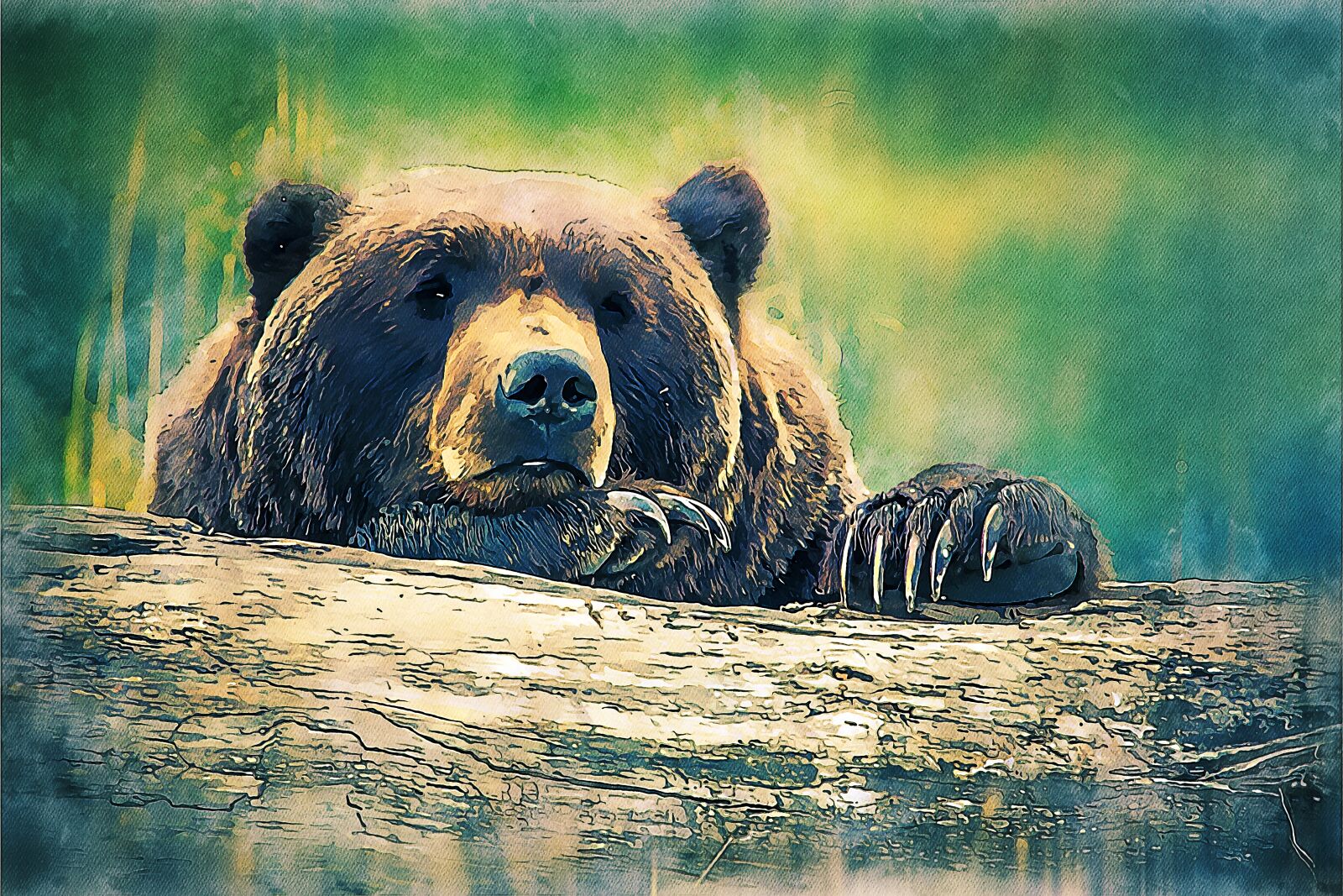 Nikon D5200 sample photo. Bear, animal, mammal photography