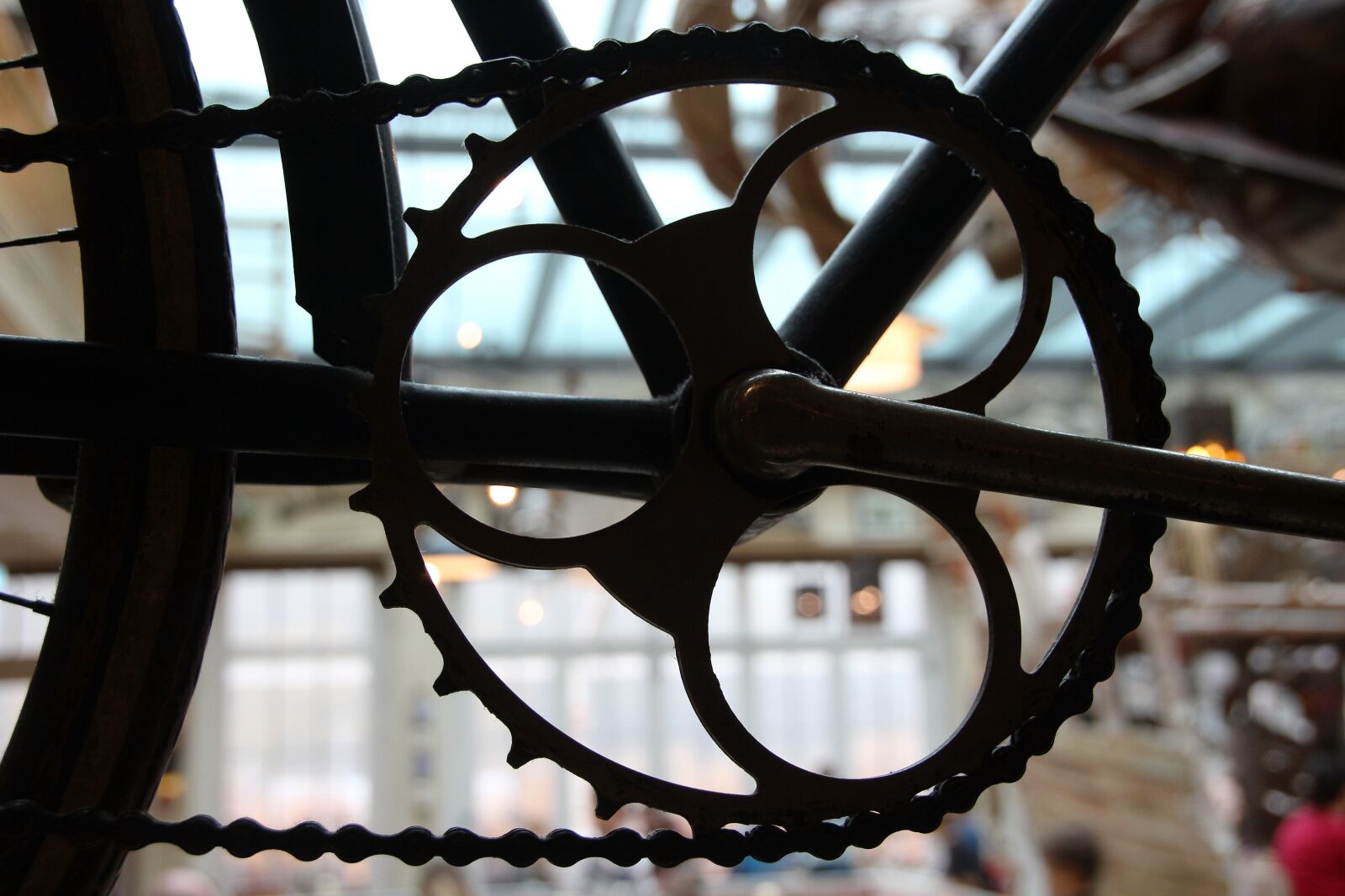 Canon EOS 600D (Rebel EOS T3i / EOS Kiss X5) sample photo. Bike, close up, gear photography