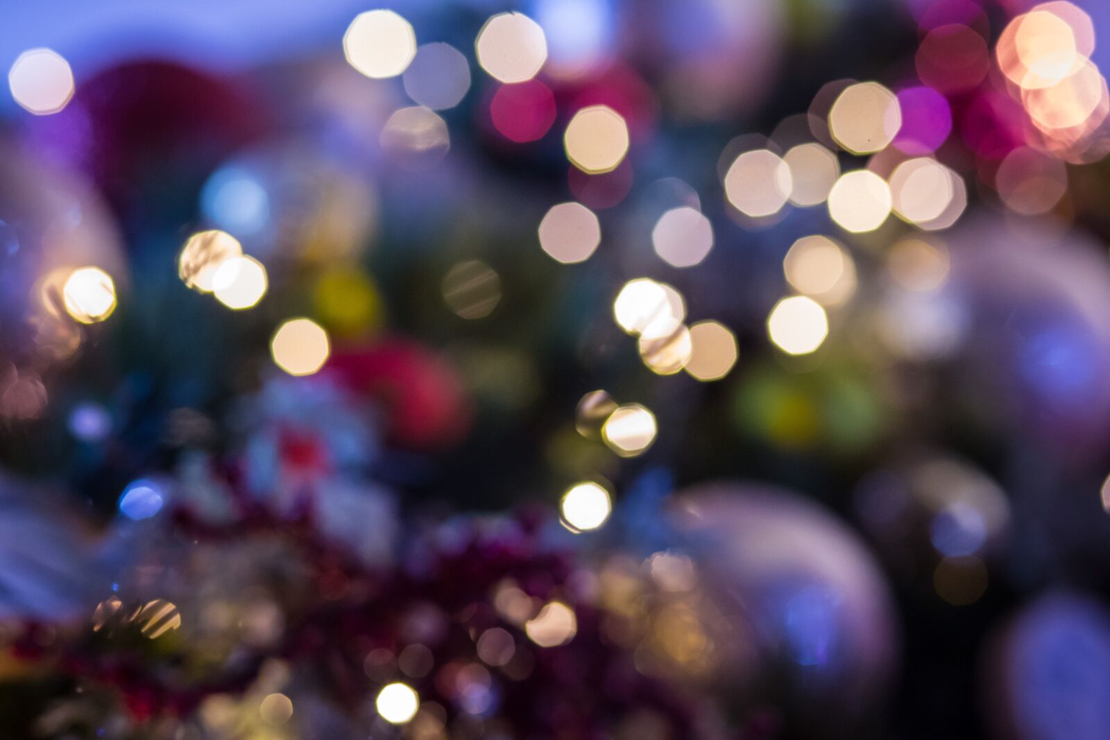 Canon EF 85mm F1.8 USM sample photo. Christmas background, christmas tree photography