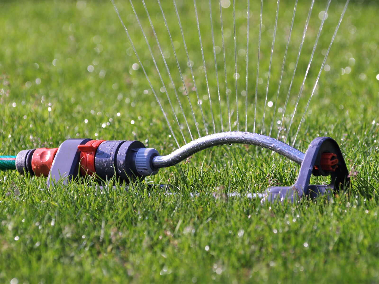 Olympus E-510 (EVOLT E-510) sample photo. Sprinkler, water, hose connection photography