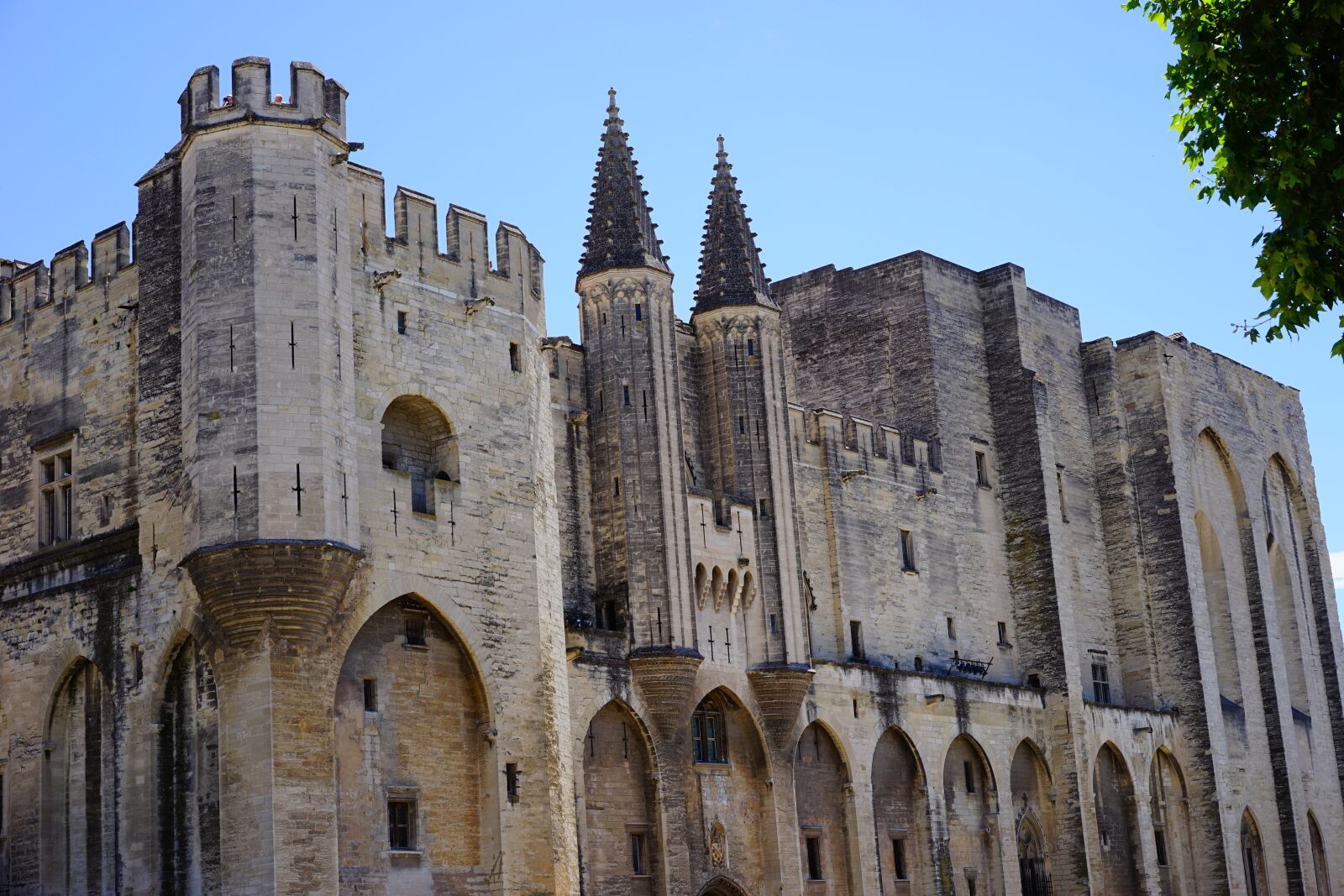 Sony a7 + Sony Sonnar T* FE 55mm F1.8 ZA sample photo. Palais des papes, building photography