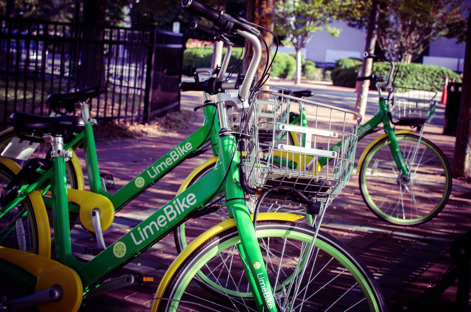 Nikon D5100 sample photo. Bike, bikes, green photography