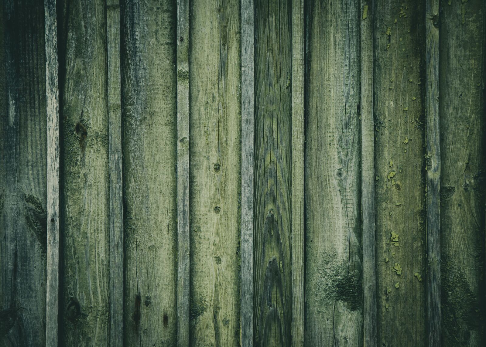 Canon EOS 5D Mark IV sample photo. Wooden, timber, wall photography