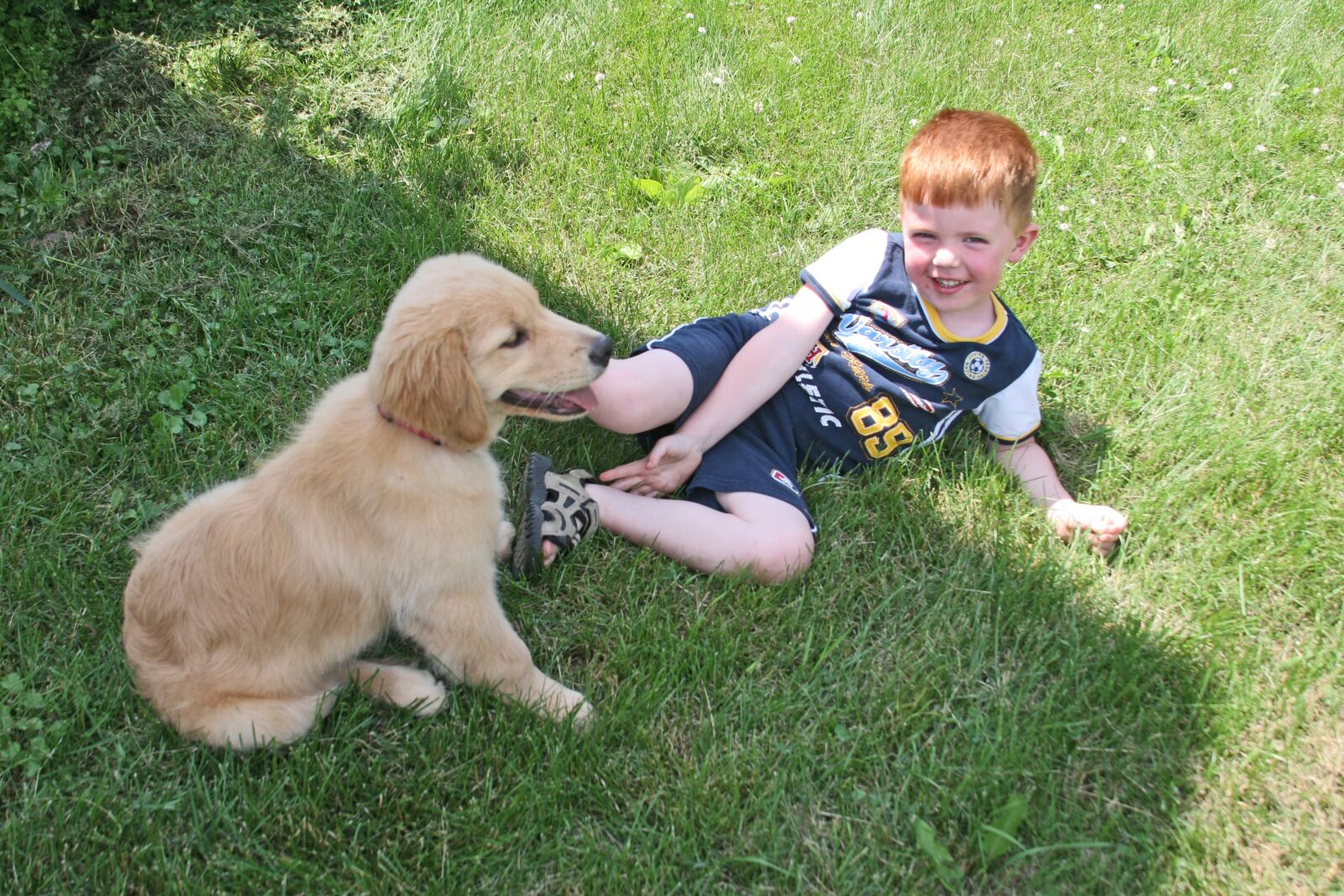 Canon EOS 20D sample photo. Puppy, boy, dog photography