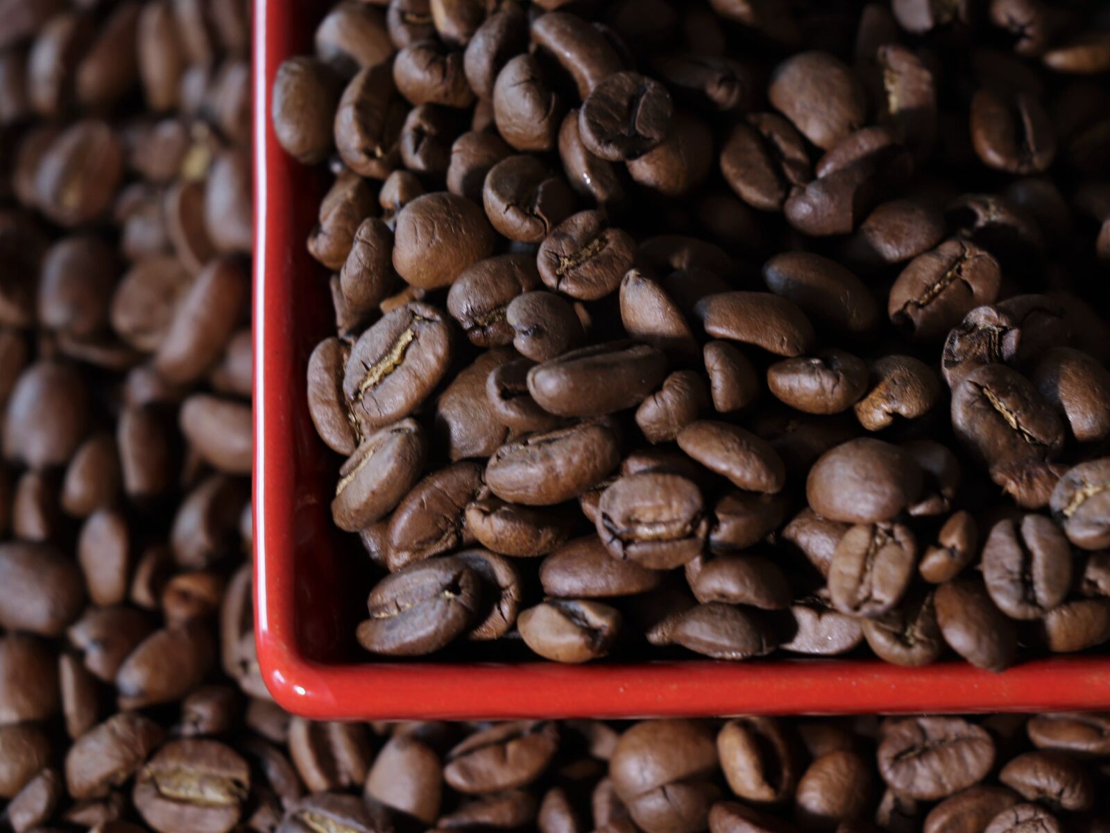 Canon EOS 77D (EOS 9000D / EOS 770D) sample photo. Coffee, grain, aroma photography
