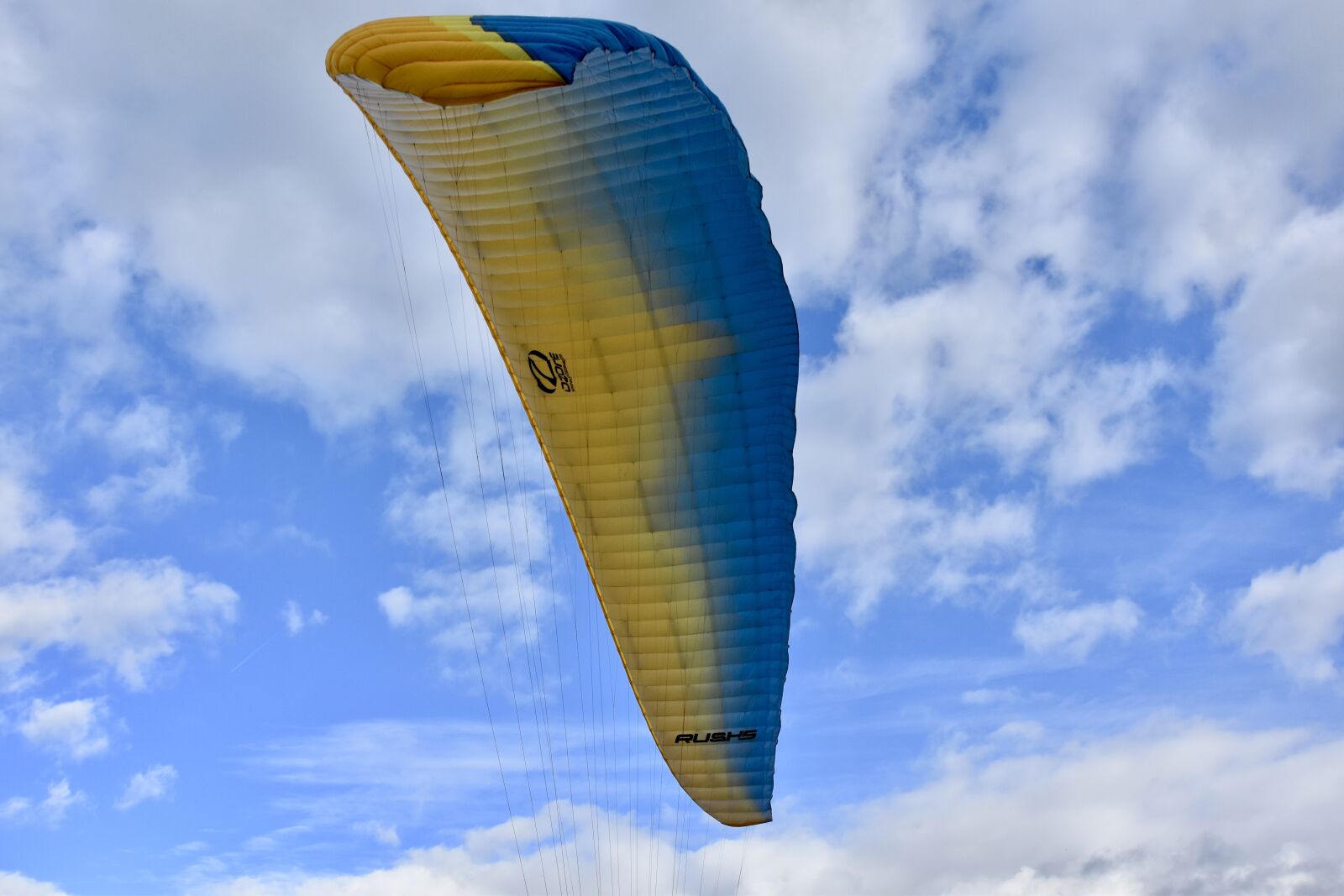 Nikon D5600 sample photo. Wing paragliding, wing ozone photography