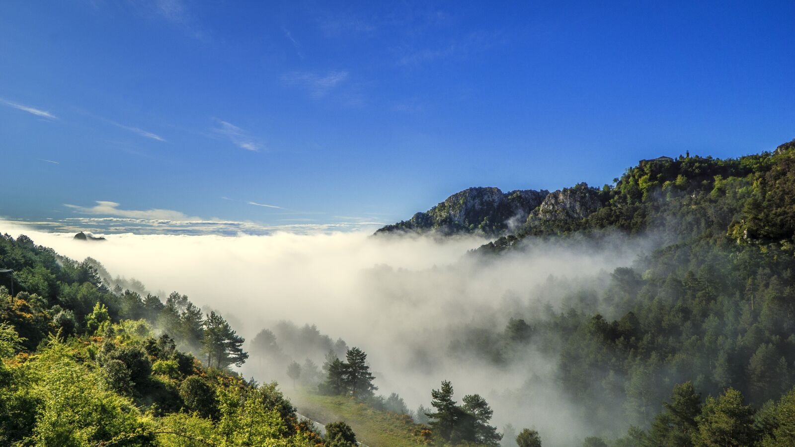 Sony a6000 + Sony E PZ 18-105mm F4 G OSS sample photo. Fog, meteorology, sky photography