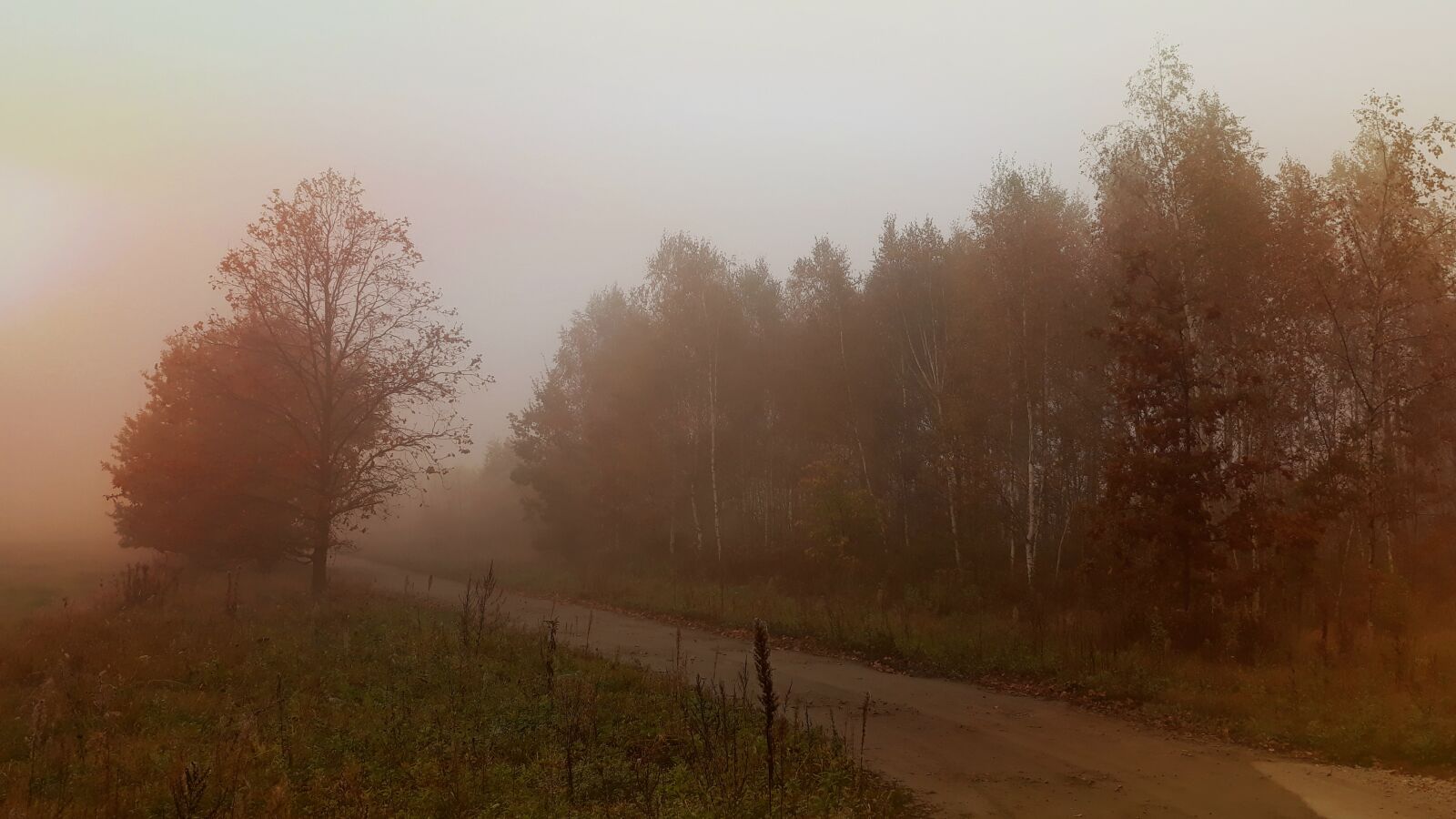Samsung Galaxy J5 sample photo. The fog, way, landscape photography