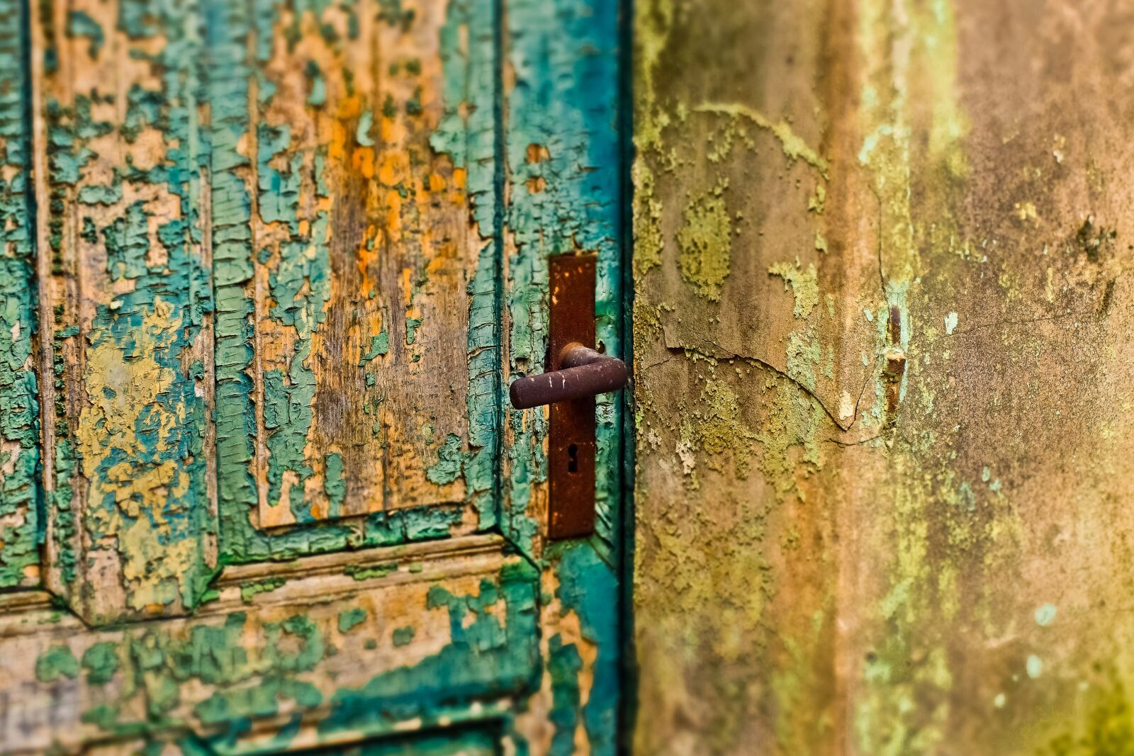 Olympus OM-D E-M10 sample photo. Door, flake, old photography