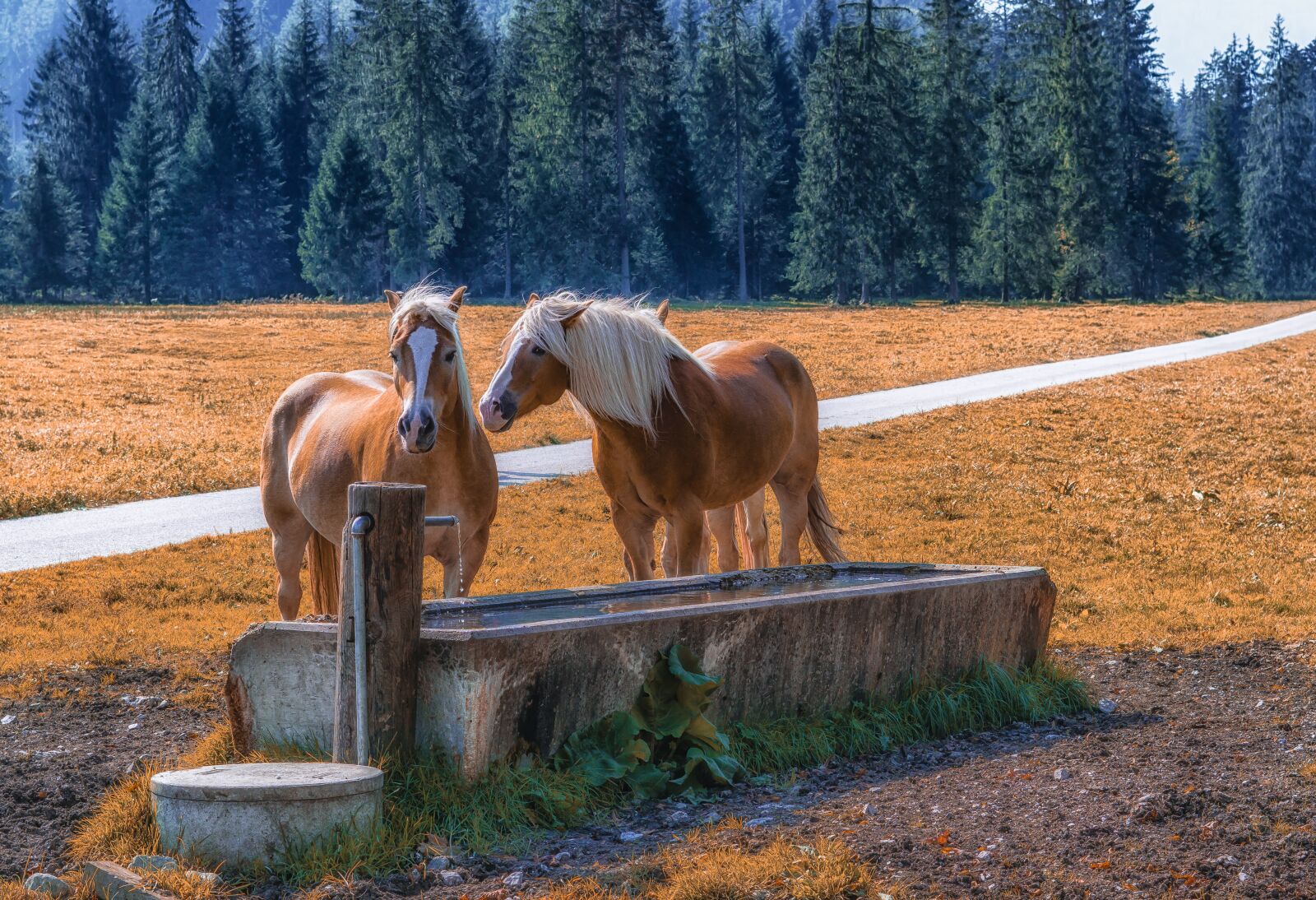 Sony a6000 sample photo. Pertisau, tyrol, gramai photography