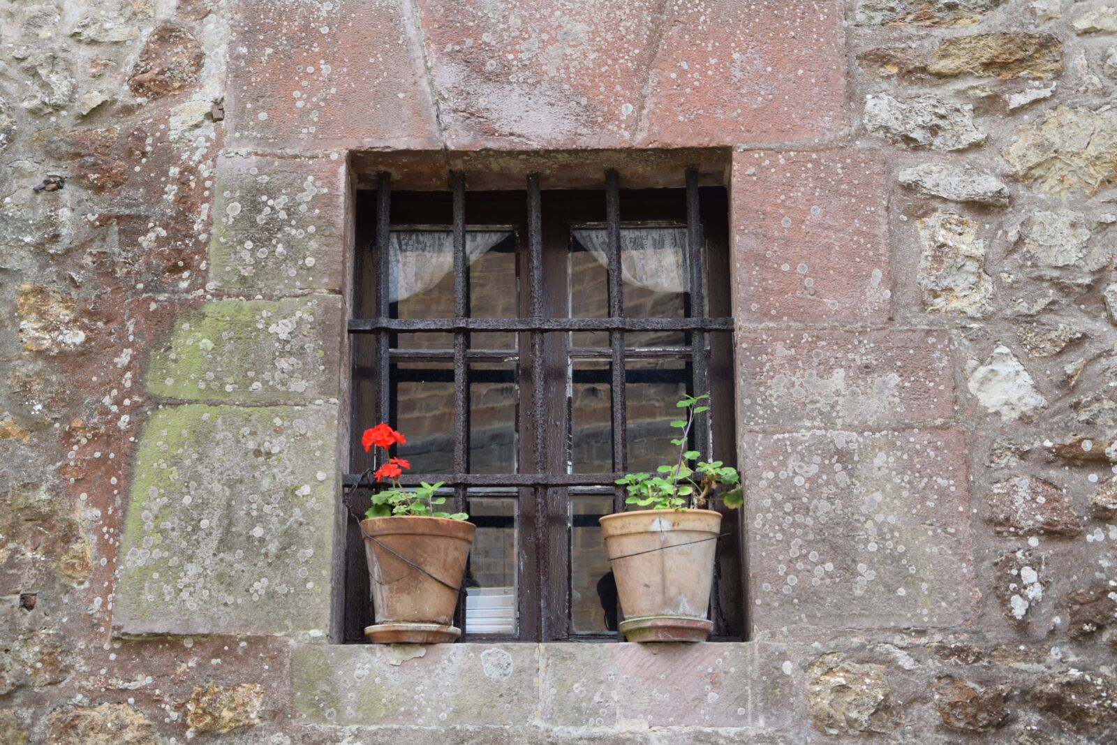 Nikon D3300 sample photo. Window, flowerpot, spain photography