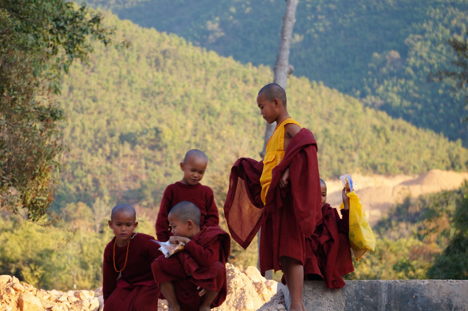 Sony Alpha NEX-6 sample photo. Monk, burma, friends photography