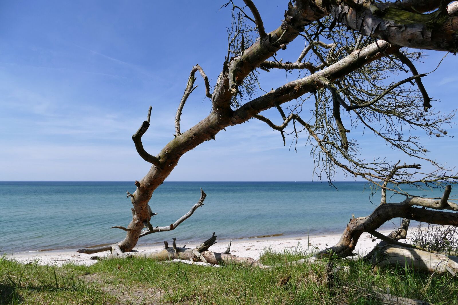 Panasonic Lumix DMC-FZ1000 sample photo. Baltic sea, west beach photography