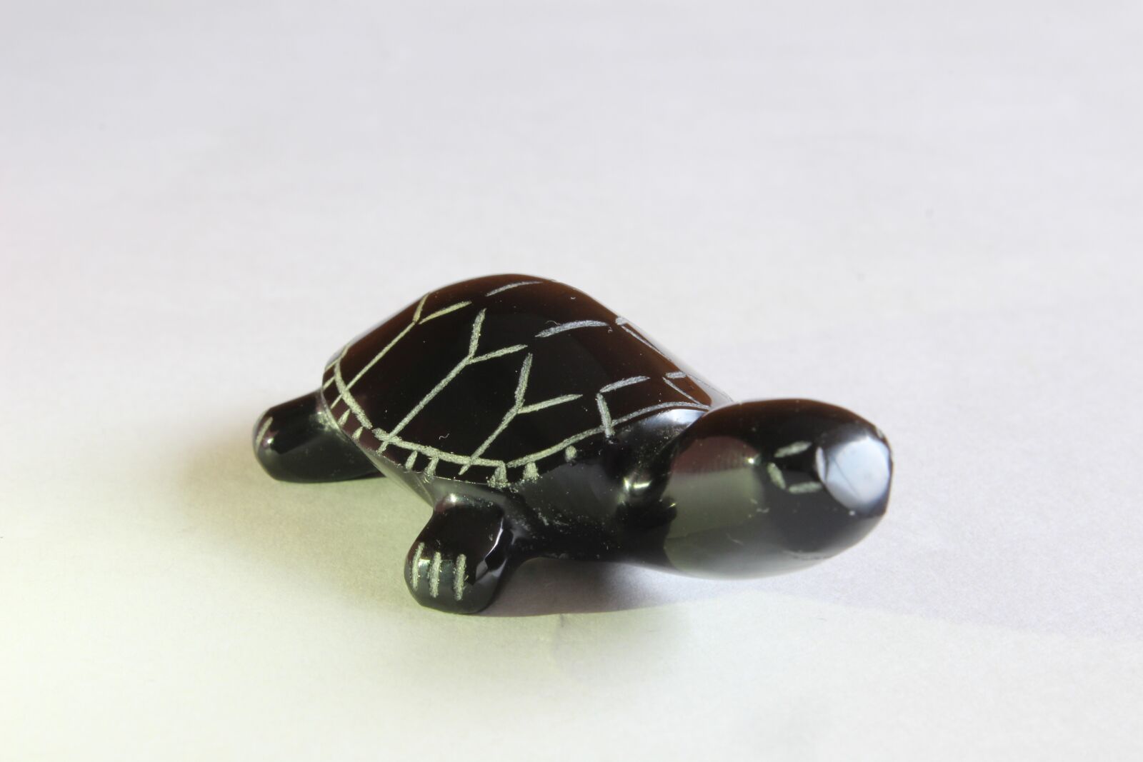 Canon EOS 600D (Rebel EOS T3i / EOS Kiss X5) sample photo. Turtle, crafts, decoration photography