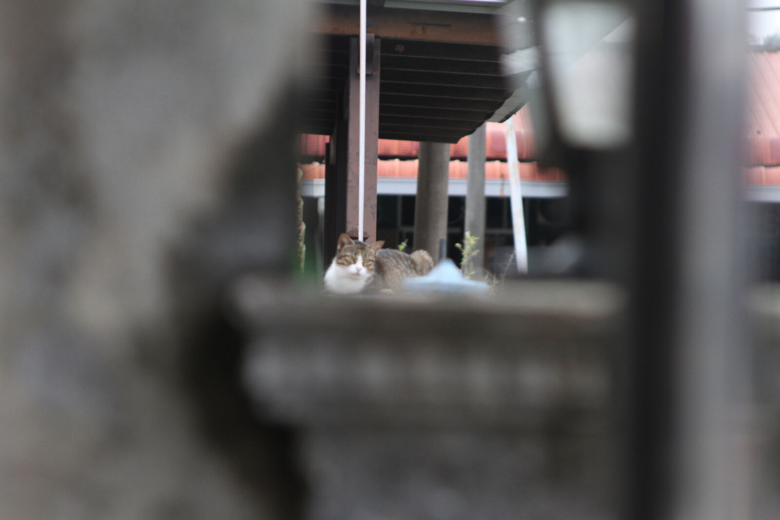 Canon EOS 7D sample photo